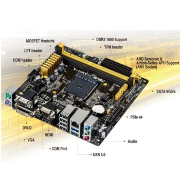 Дънна платка Asus AM1I-A, AM1, DDR3, HDMI&DVI, SB7.1, Lan1000, 2x SATA 6Gb/s, 2x USB3.0, miniITX | JAR Computers ASUS AM1I-A
