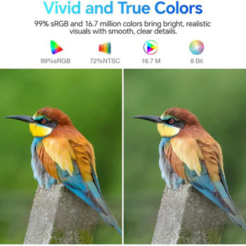 KOORUI E2412F | JAR Computers KOORUI E2412F