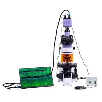 MAGUS Lum D400L LCD LV83019