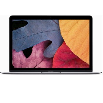 Лаптоп Apple MacBook (MLH72ZE/A)(астро сив), дву-ядрен Skylake Intel Core m3-6Y30 0.9/2.2GHz, 12.0" (30.48 cm) IPS Retina Display, 8GB, 256GB SSD, USB 3.1 (Type-C), OS X El Capitan, 0.92kg | JAR Computers Apple MacBook (MLH72ZE/A)