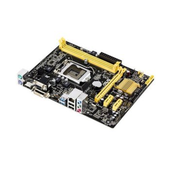 Asus H81M-P PLUS