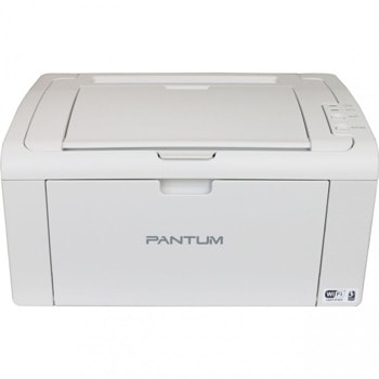 Pantum P2509