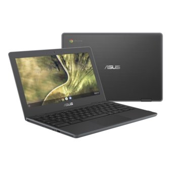 Asus Chromebook C204EE-GJ0219