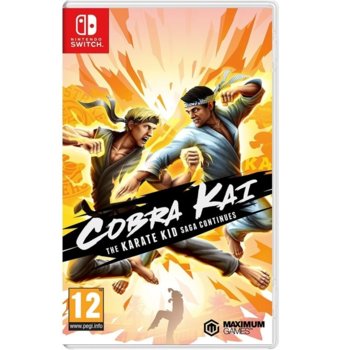 Cobra Kai: The Karate Kid Saga Continues Switch