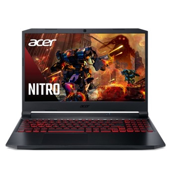 Acer Nitro 5 AN515-56 NH.QANEX.006-16GB