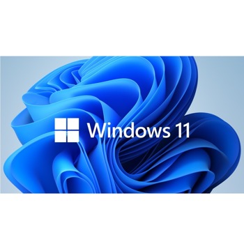 Microsoft Windows 11 Pro for Wrkstns 64Bit DVD