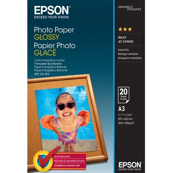 Epson C13S042536
