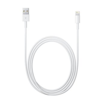 Apple Lightning to USB Cable md818zm/a