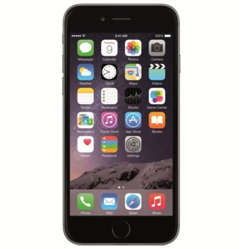Apple iPhone 6 MQ3D2TU/A Dark Gray