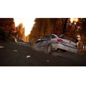 DiRT 4 Special Edition