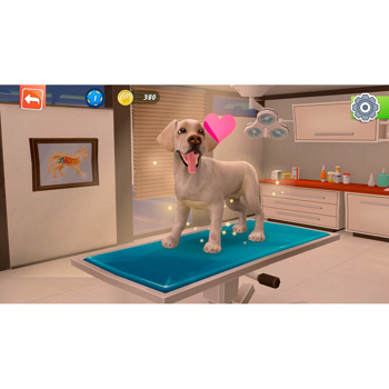 Animal Hospital (Nintendo Switch)