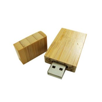 Estillo 8GB USB2 SD-79