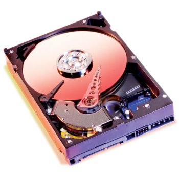 Твърд диск 500, WD, SerialATA, 7200, 16MB | JAR Computers 500 WD SerialATA 7200 16MB