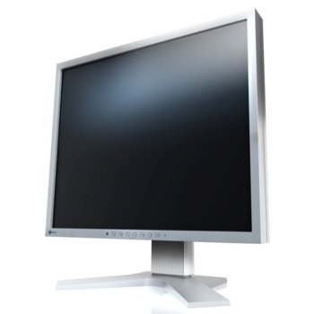 EIZO FlexScan Square S1933H-GY