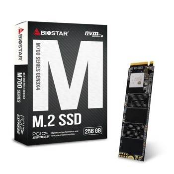 Biostar M700-256GB