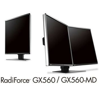 EIZO RadiForce GX560