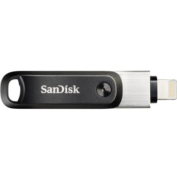 SanDisk SDIX60N-256GB-GN6NE