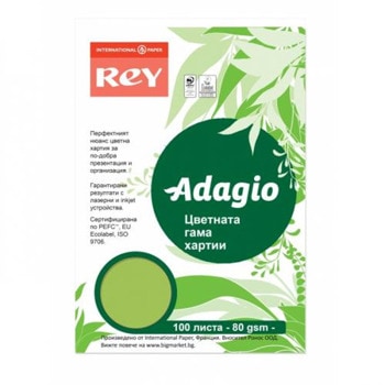 Копирна хартия Rey Adagio A4 80 g/m2 зелена 100