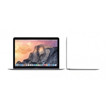 12 Apple MacBook MJY32ZE/A Space Grey