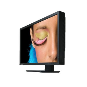 NEC SpectraView Reference242 P-IPS