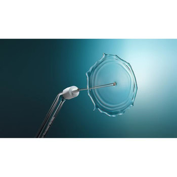 philips sonicare compact flosser 1000 hx3333/24