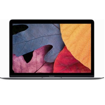 Apple MacBook (MLHA2ZE/A)