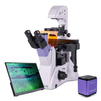 Флуоресцентен тринокулярен инвертиран цифров микроскоп MAGUS Lum VD500 LCD, 100-400x оптично увеличение, 30mm диаметър на тръбата на окуляра, халогенно/флуоресцентнo осветление, цифрова камера MAGUS CHD40, течнокристален монитор MAGUS MCD40 | JAR Computers MAGUS Lum VD500 LCD