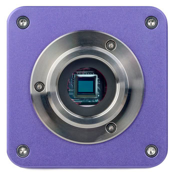 MAGUS Stereo D8T BASE