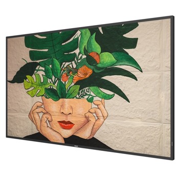Публичен дисплей Philips 43BDL4511D/00, 43" (109.22 cm) 4K/UHD, DisplayPort, HDMI, DVI, USB, LAN | JAR Computers Philips 43BDL4511D/00