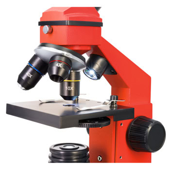 Levenhuk Rainbow 2L PLUS Red LV69121