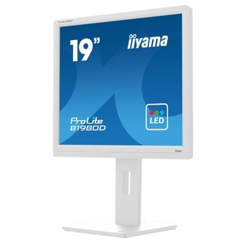 IIYAMA B1980D-W5