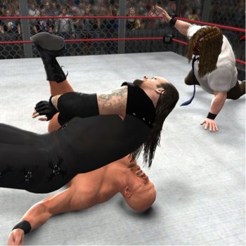 WWE 13