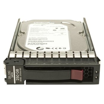 250GB HP Non-Hot Plug SATA2 7200rpm LFF