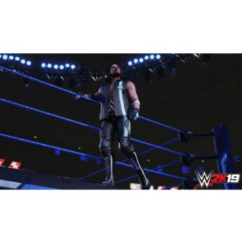 WWE 2K19 Deluxe Edition (PS4)