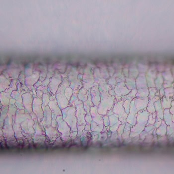 MAGUS Pol D800 LCD LV83041