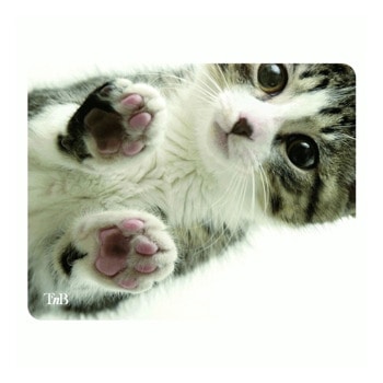 Подложка за мишка TnB TSKITTY, рисунка, 220 x 180 x 3 мм | JAR Computers Подложка за мишка TnB TSKITTY