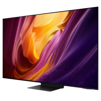 Samsung QE-65S95H QE65S95HFTXXH