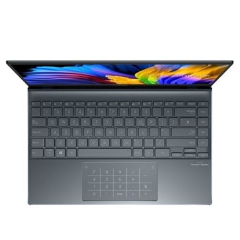 Asus Zenbook 14 UM425UAZ-AM511W