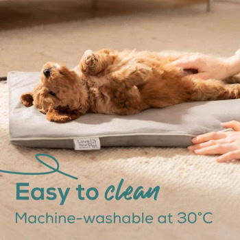 Beurer PP 210 Lilli 10545_BEU