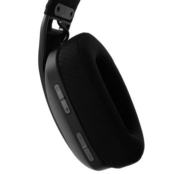 white shark butterfly black