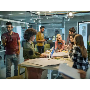 Western Digital Red Plus 12TB WD120EFGX