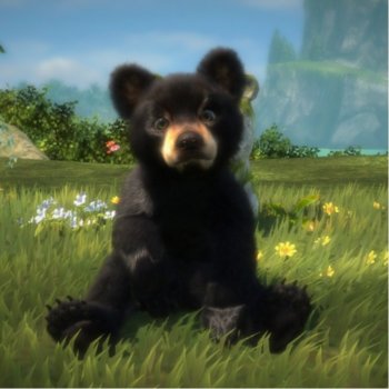 Kinectimals with Bears! - Kinect