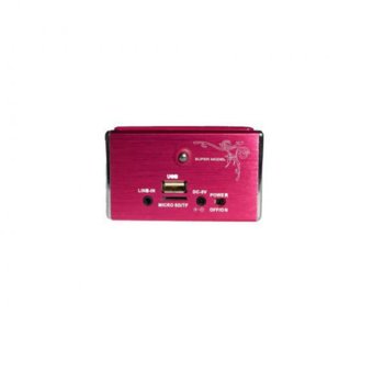 HOME SP CUBE WS-318 FM/SD/USB Pink