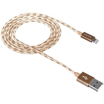 Canyon USB A(м) to Lightning(м) 1m Gold CNE-CFI3GO