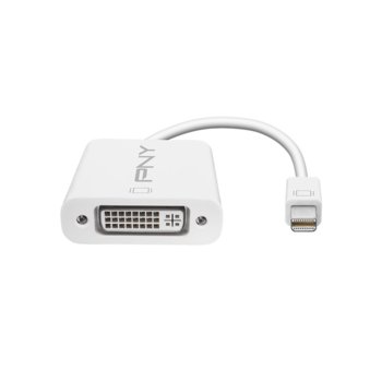 PNY MDP Adapter mini DisplayPort to DVI Adapter