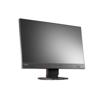 Eizo FORIS FS2434 & Gunnar Micron Onyx