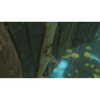 The Legend of Zelda Tears of the Kingdom CE Switch