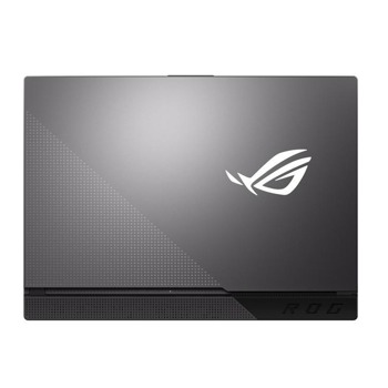 Asus ROG STRIX G15 G513IC-HF005 90NR0502-M01960