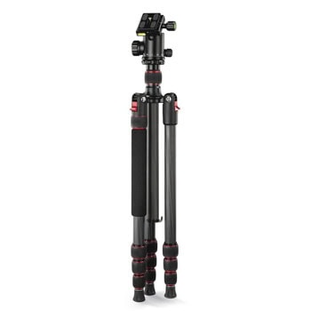 hama ramble ii duo carbon