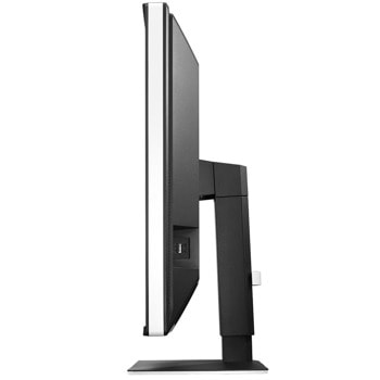 EIZO RadiForce RX250